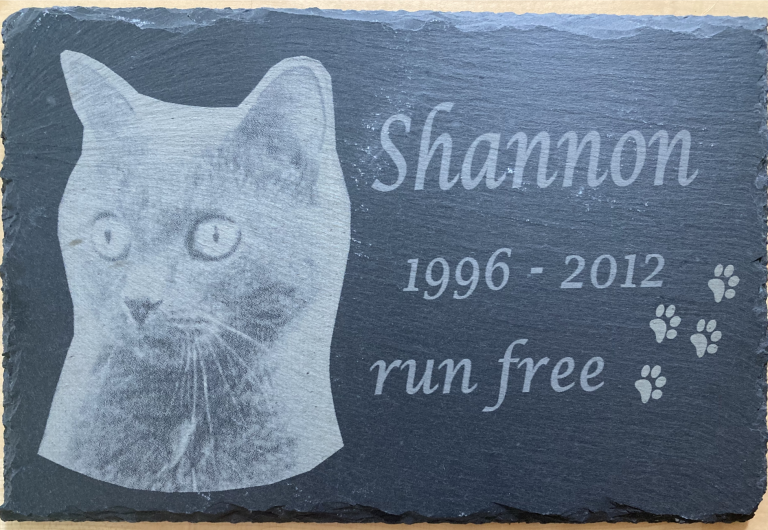 Graues Grabmal mit Katzengesicht und den Worten "Shannon 1996-2012 run free".