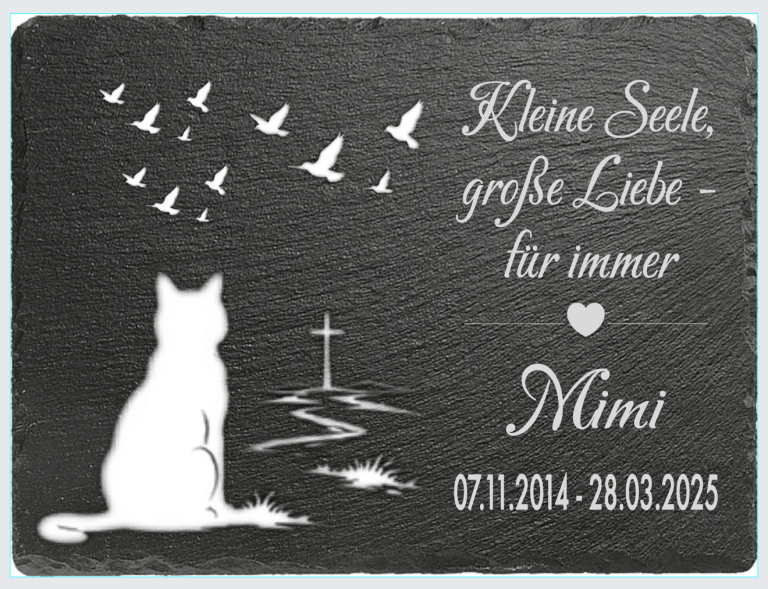 Weißer Kater blickt auf fliegende Vögel, darunter ein Herz und Daten.
