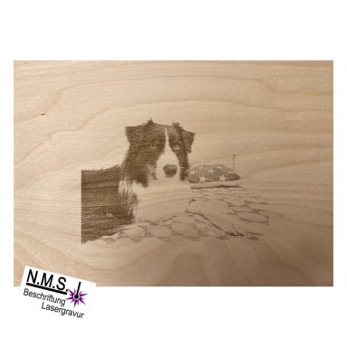 Ein Hund auf einer Holzoberfläche, umgeben von einer natürlichen Umgebung.