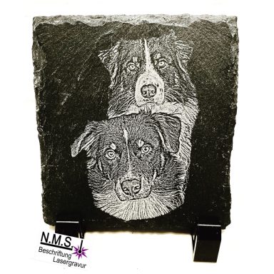 Zwei Hunde in gravierter Darstellung auf einem schwarzen Stein.