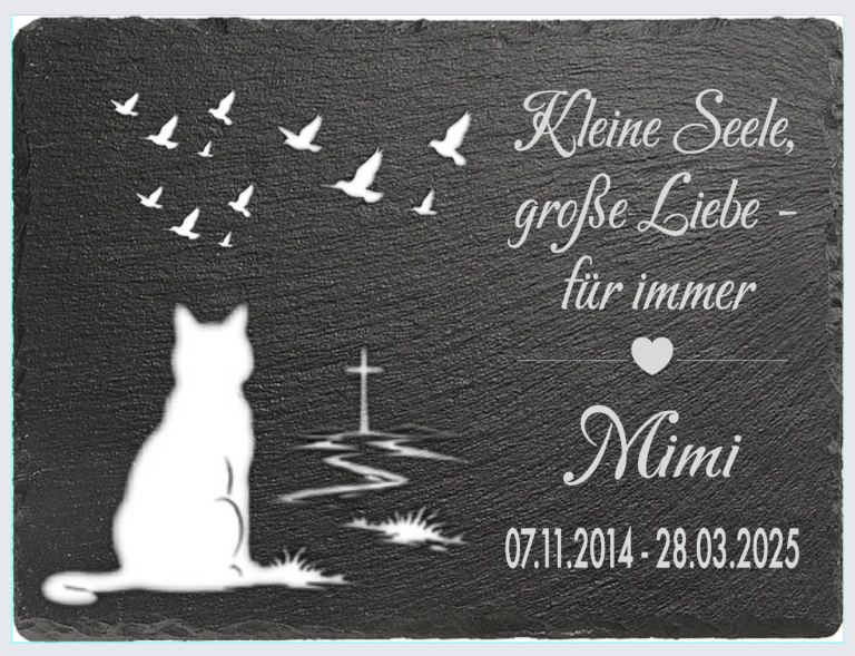 Weißer Kater blickt auf fliegende Vögel, darunter ein Herz und Daten.
